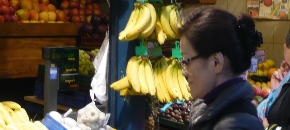 玉木和子の作品